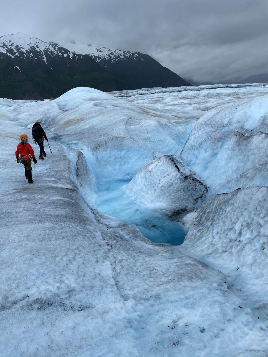 Hikers exploring blue ice and crevasses on Mendenhall Glacier